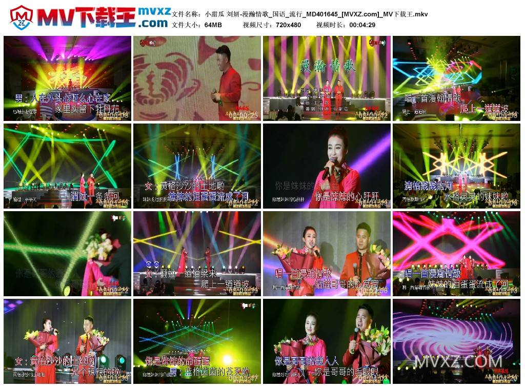 小甜瓜 刘妍-漫瀚情歌_国语_流行_MD401645